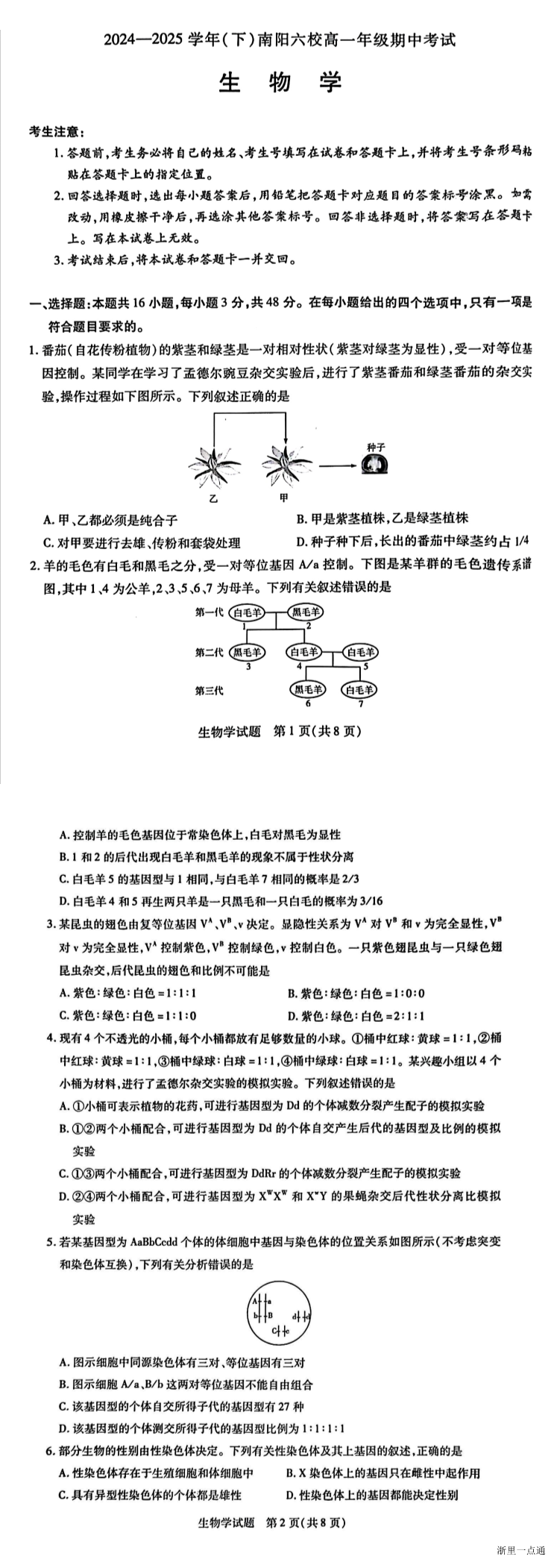 缩略图